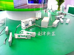 亞津傳感器秤 100t稱重磅與河南模塊秤的計(jì)算機(jī)軟硬件技術(shù)開(kāi)發(fā)